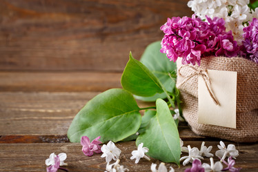 Similar image 13014361