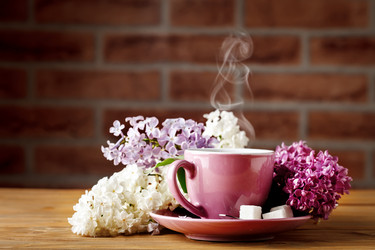 Similar image 13014366