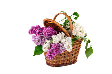 Similar image 13014368