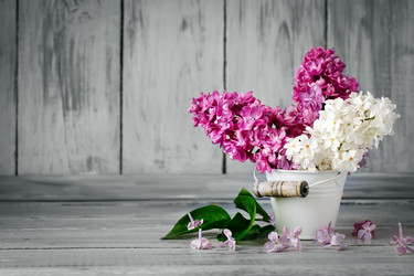 Similar image 13014382