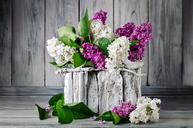 Similar image 13014384