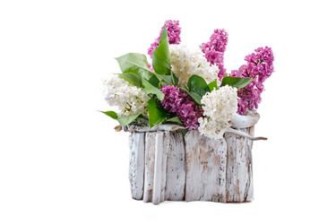 Similar image 13014385