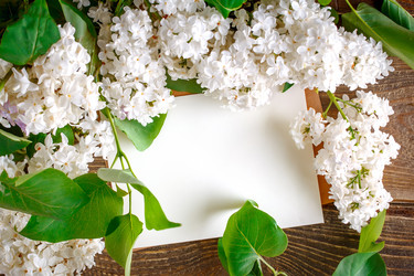 Similar image 13014393