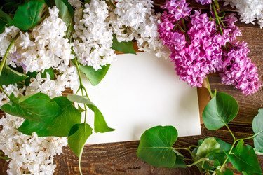 Similar image 13014394