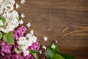 Similar image 13014396