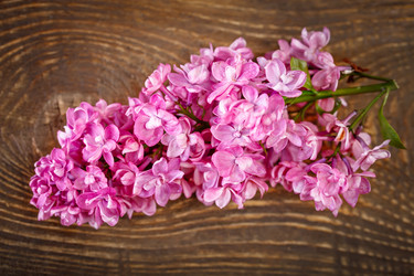 Similar image 13014398