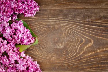 Similar image 13014399