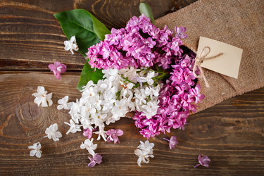 Similar image 13014401