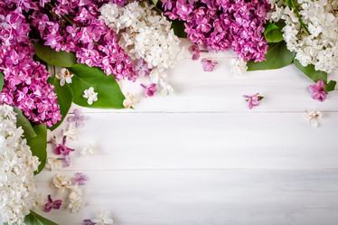 Similar image 13014403