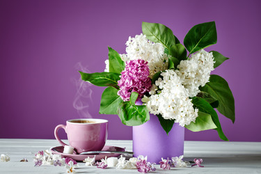 Similar image 13014406