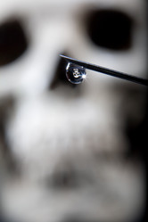 Similar image 13023925