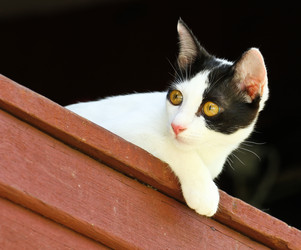 Similar image 13044694