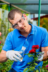 Similar image 13047067