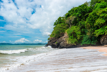 Similar image 13062981