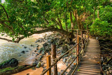 Similar image 13063029