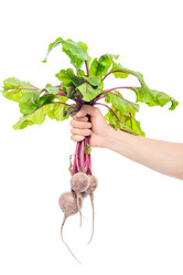 Similar image 13063063