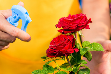 Similar image 13063130