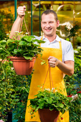 Similar image 13063138