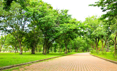 Similar image 13044753