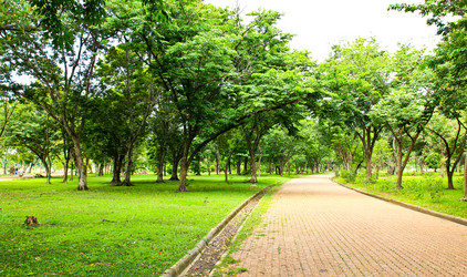 Similar image 13044769