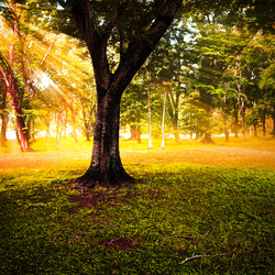 Similar image 13064374