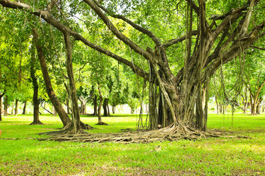 Similar image 13064376