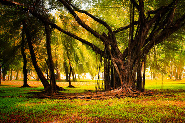 Similar image 13064377