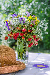 Similar image 13045189