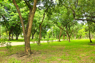 Similar image 13065284