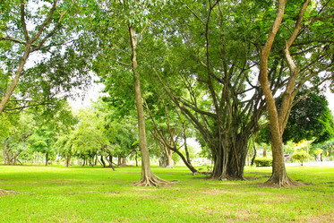 Similar image 13064379