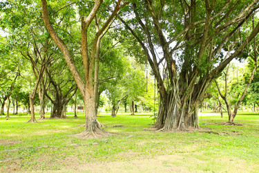 Similar image 13064380