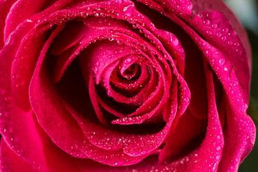 Similar image 13024656