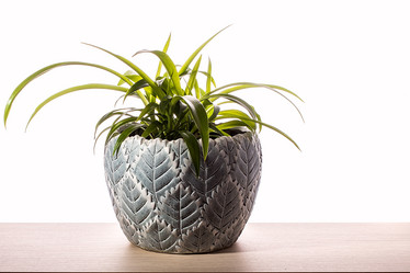 Similar image 13024661