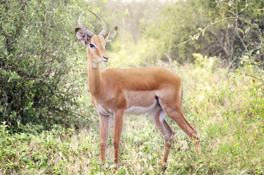 Similar image 13024750