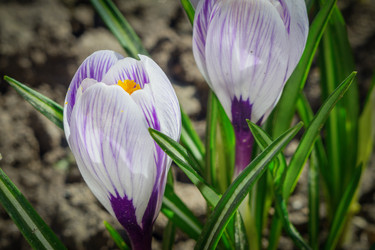 Similar image 13043420