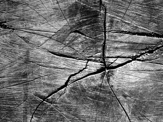 Similar image 13044638