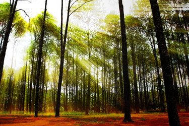 Similar image 13044654