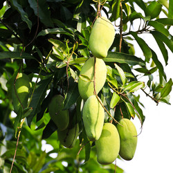 Similar image 13044657