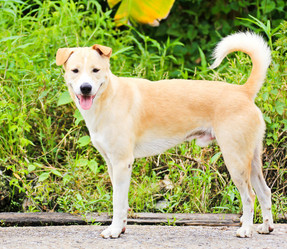 Similar image 13044658