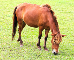 Similar image 13044695