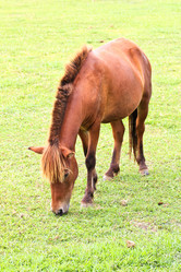 Similar image 13044696