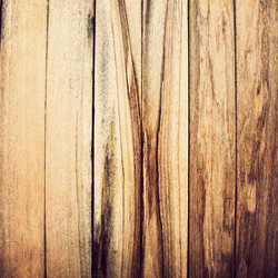 Similar image 13044729