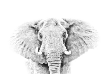 Similar image 13024754