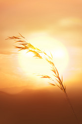 Similar image 13024755