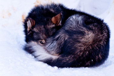 Similar image 13024757