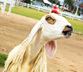 Similar image 13044728