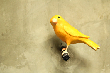 Similar image 13065285