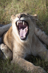 Similar image 13024763