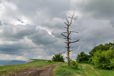 Similar image 13024605