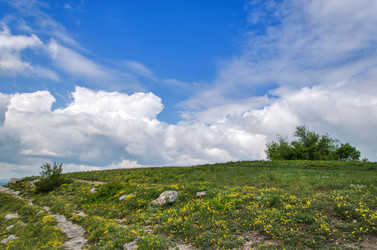 Similar image 13024606